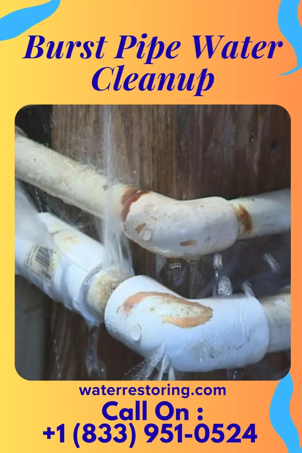 Burst Pipe Water Cleanup in The Cliffs Valley, SC