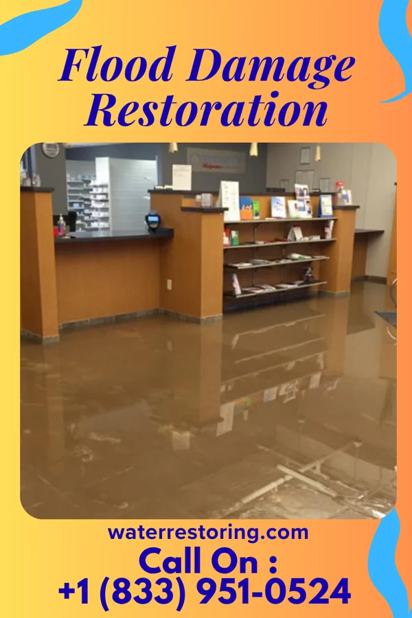 Flood Damage Restoration in The Cliffs Valley, SC