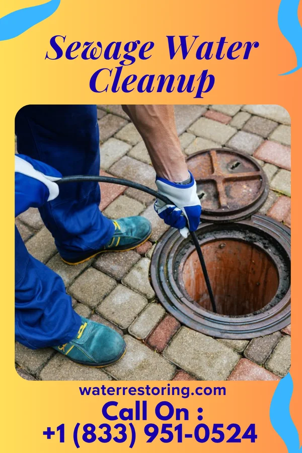 Sewage Water Cleanup in The Cliffs Valley, SC
